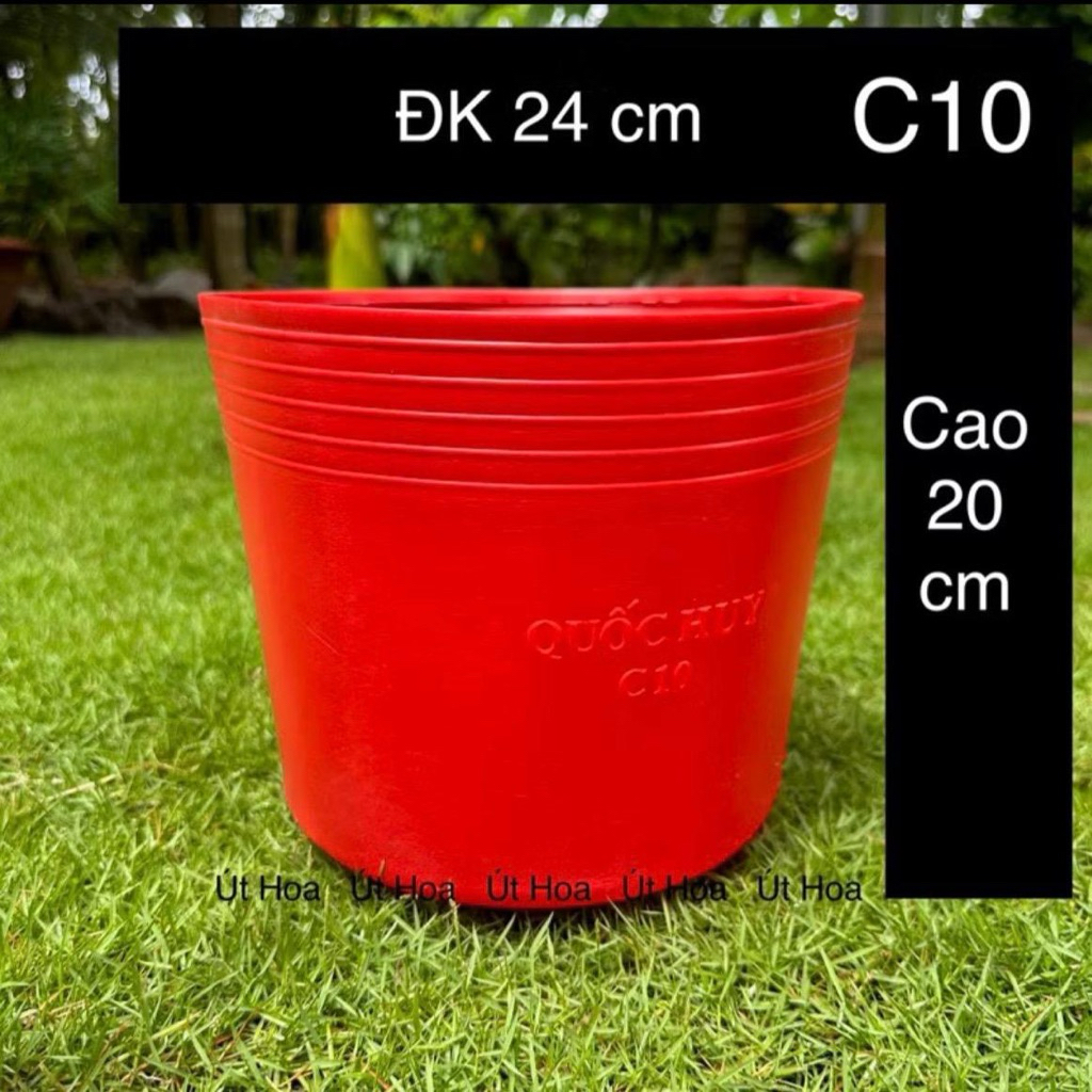 Combo 10/50/100  chậu c10(24*20) trồng hoa tết