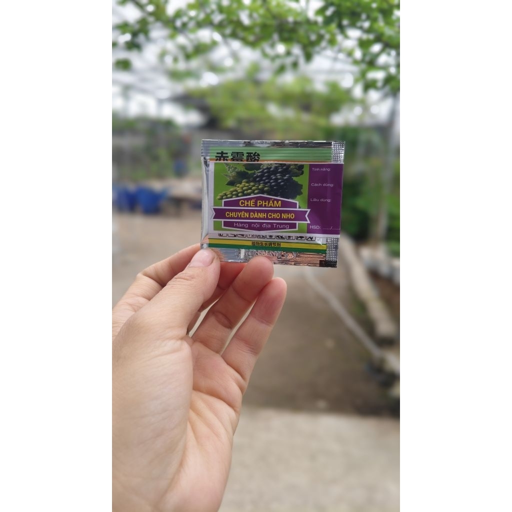 CHẾ PHẨM GIÃN CHÙM NHO MẪU ĐƠN (NHO SỮA)