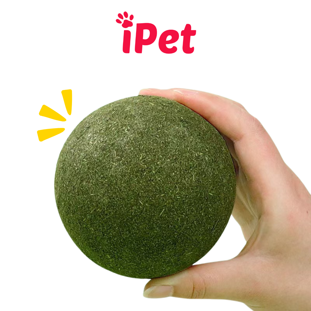 Bóng đồ chơi cho mèo phủ cỏ bạc hà catnip - iPet Shop