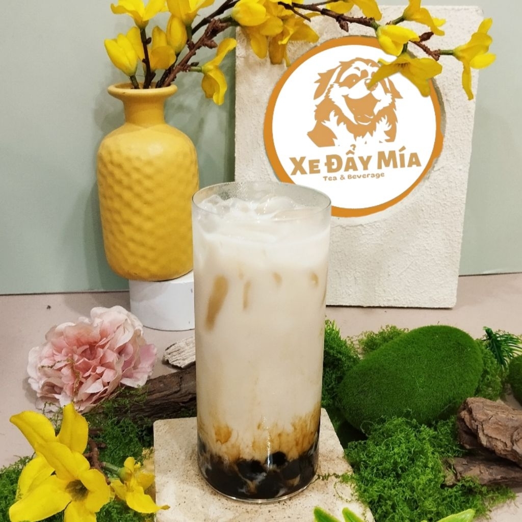 Trà Sữa Camelia