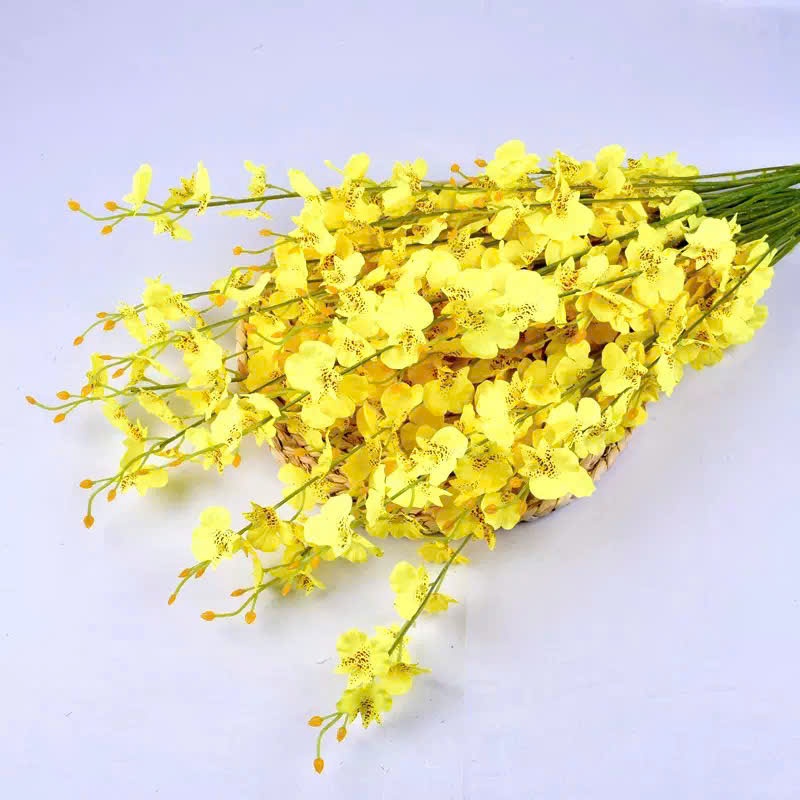 Cành hoa Lan vũ nữ trang trí phòng khách,phòng ngủ, decor nhà đẹp