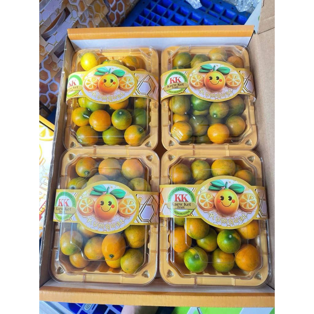 Kim Quất (Tắc) Đài Loan - Hàng mới