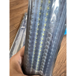 5 Nhân led 3w