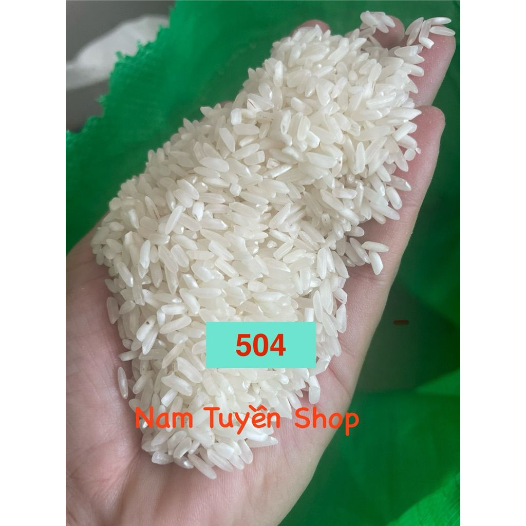 (10kg) Gạo Nở khô 504 ,gạo hàm châu  cơm nở khô xốp