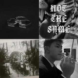  NOT THE SAME Nhẫn Hổ - MARTINO  Chính hãng  