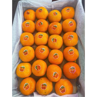[Ship hỏa tốc] Hồng Mật Nâu -  Hồng Soocla siêu ngọt 1kg