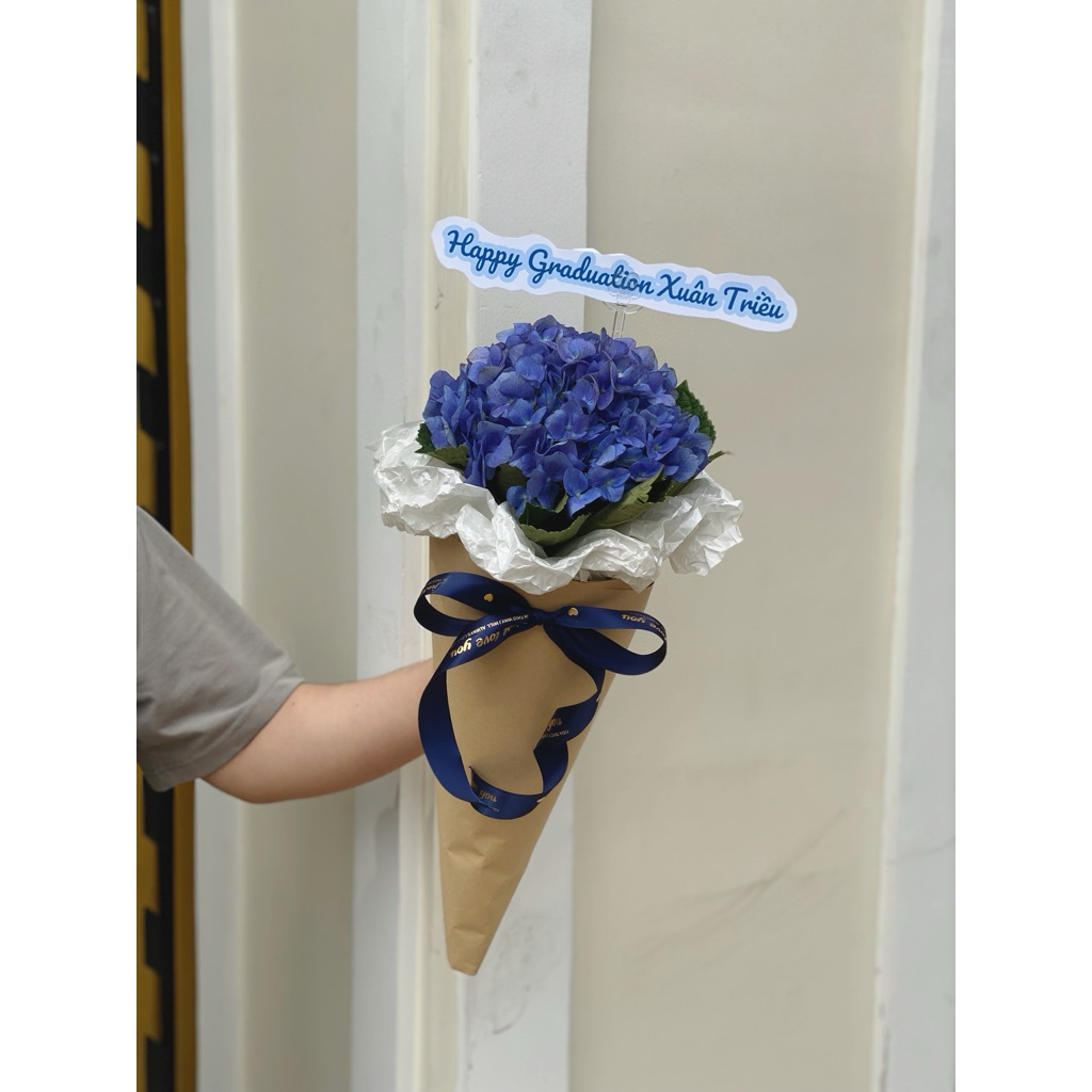 BÓ TÚ CẦU CÔN MINH ỐC QUẾ