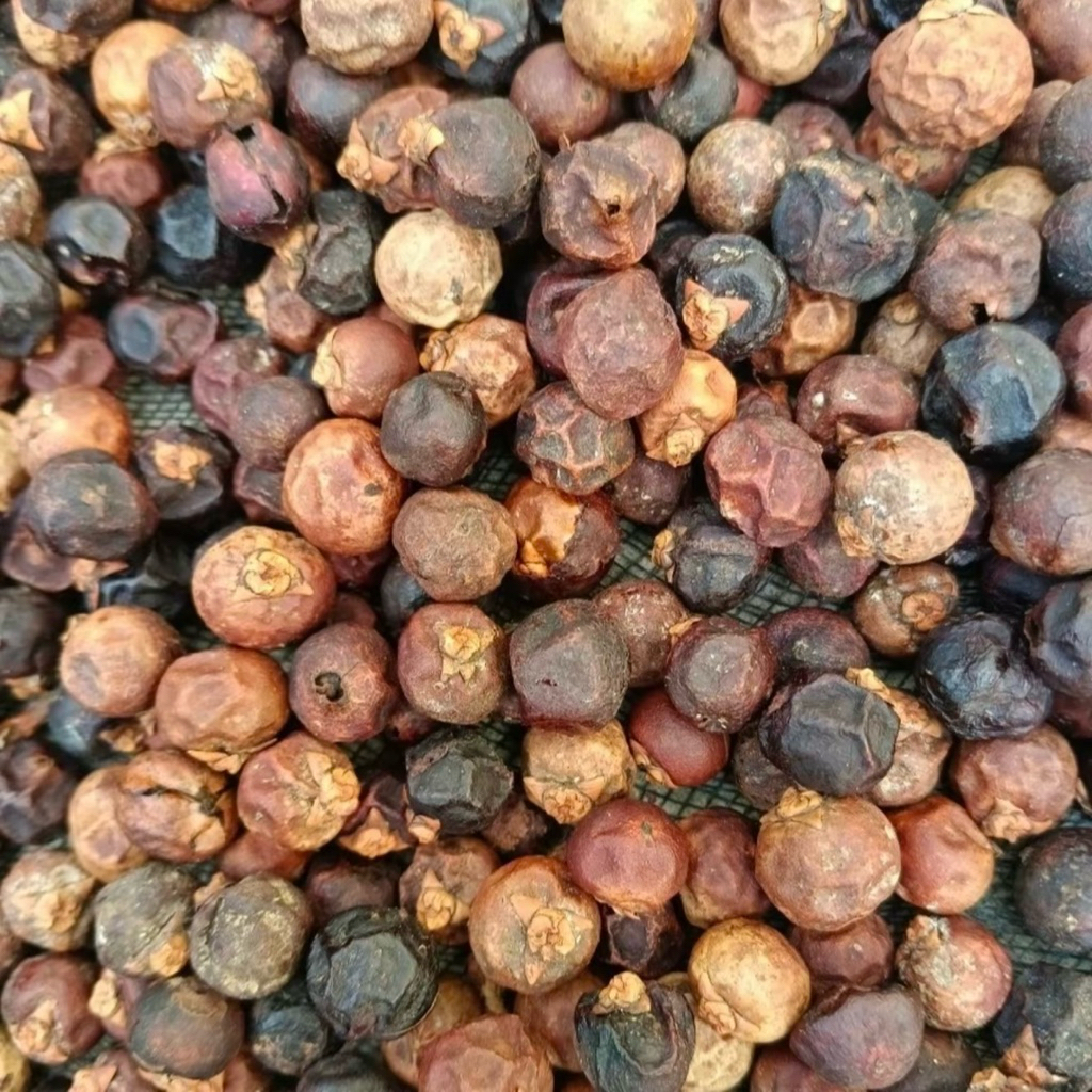 trái đủng đỉnh khô