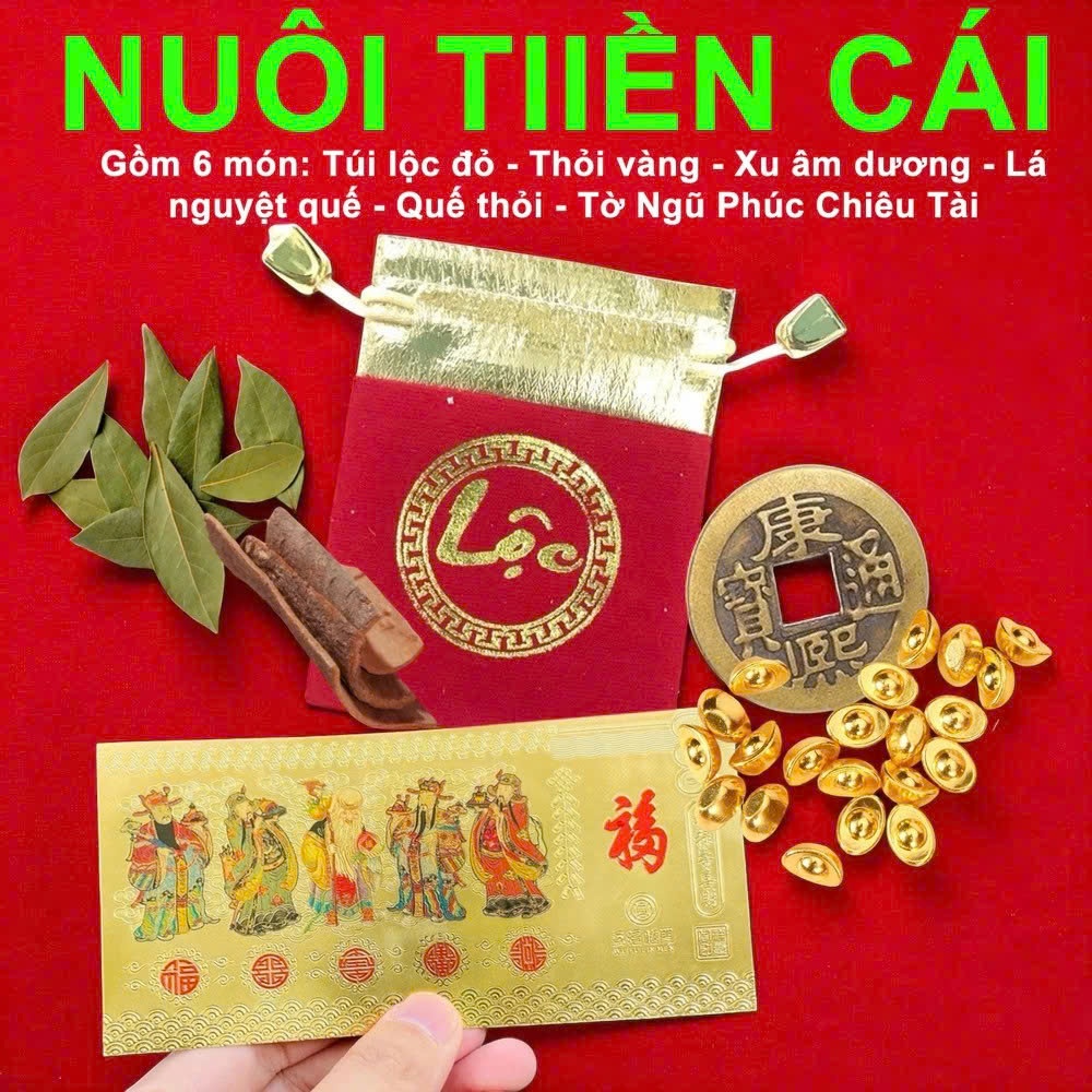 (Mẹo Nuôi Tiền) Bộ Ngũ Lộc Chiêu Tài 6 Món, Mẹo Nuôi Tiền Cái - Mẹo Phong Thủy 6 Món 8386