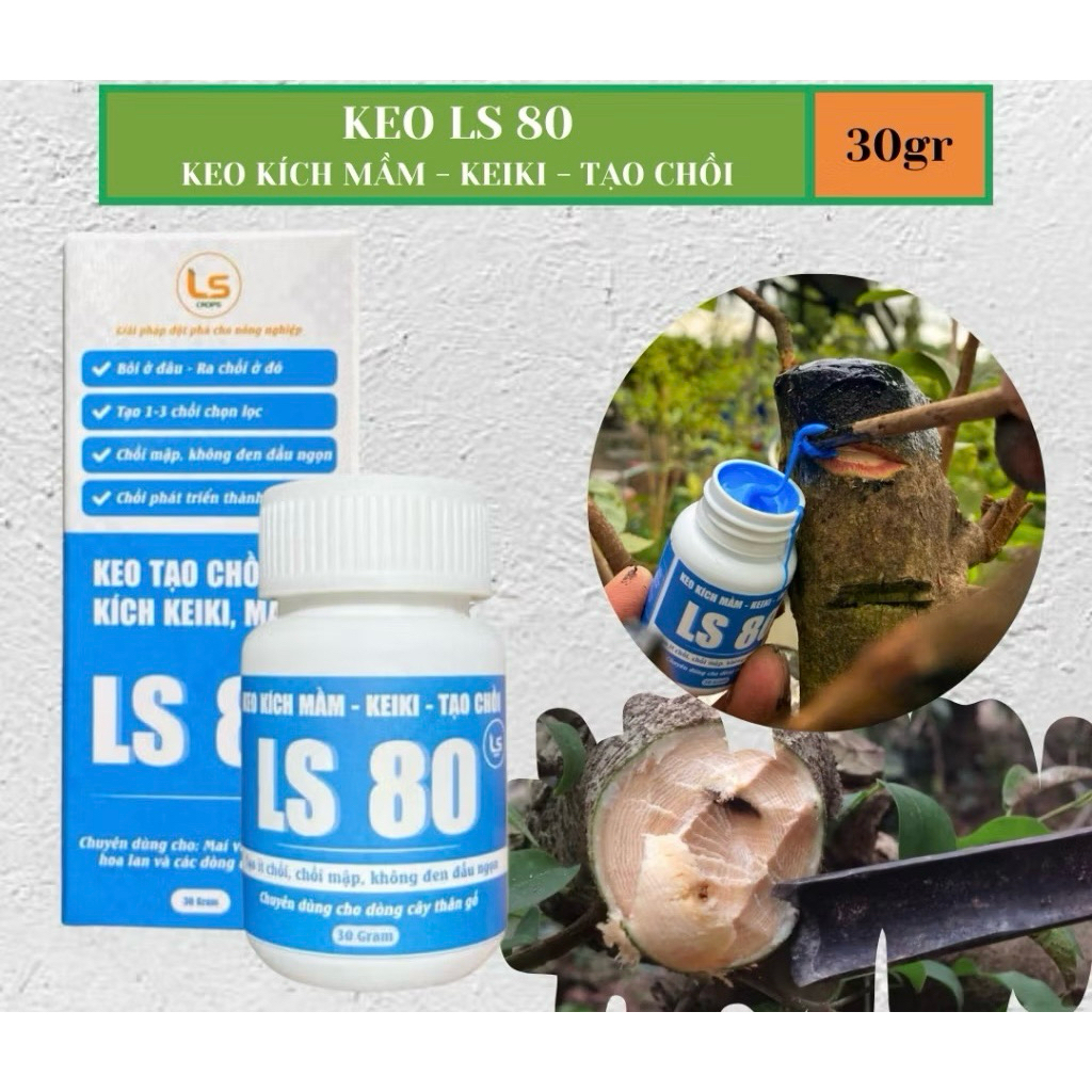 KEO TẠO MẦM – KÍCH CHỒI LS80 “Bôi ở đâu – ra chồi ở đó” • Kích mầm mạnh • Không làm suy cây