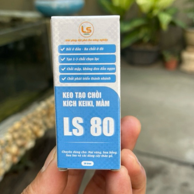 KEO TẠO MẦM – KÍCH CHỒI LS80 “Bôi ở đâu – ra chồi ở đó”