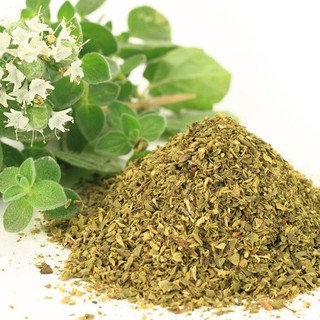 Lá thơm làm bánh pizza (Lá Oregano)