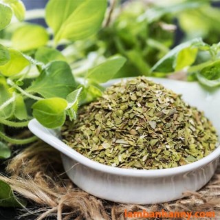 Lá thơm làm bánh pizza (Lá Oregano)