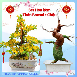    KÈM THÂN + CHẬU  Set nguyên liệu làm hoa mai hoa đào kẽm nhung diy trang trí Tết handmade 
