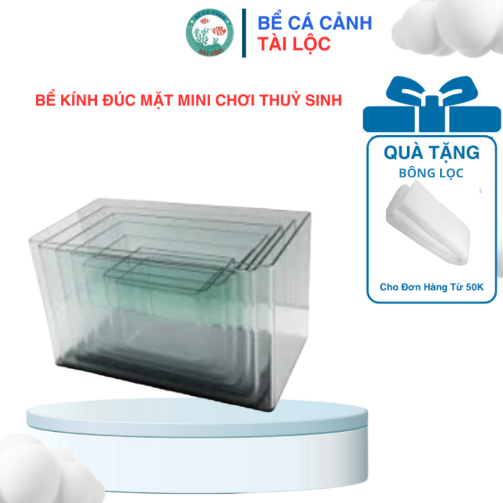 Bể kính Đúc mặt mini chơi thuỷ sinh , nuôi cá bể kính 18cm , 20cm , 25cm , 30cm