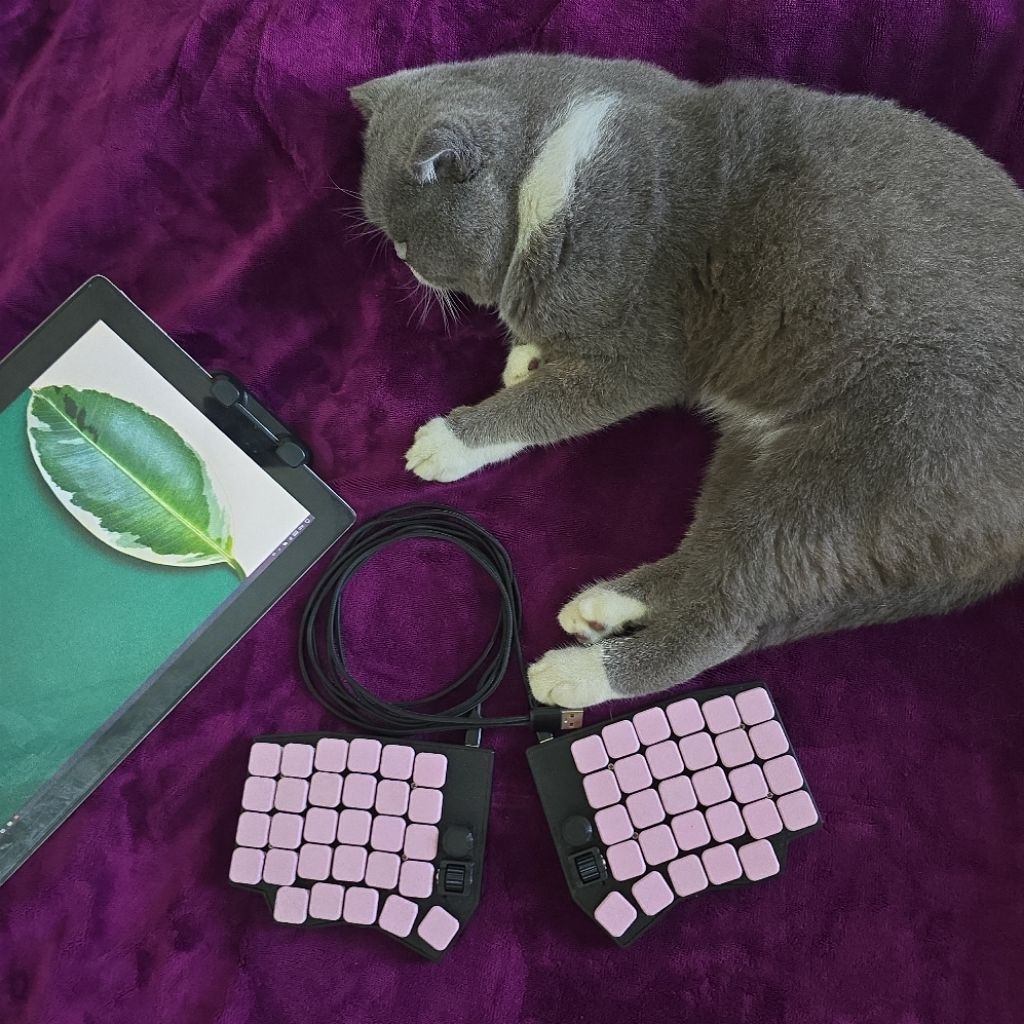 Bàn phím Split keyboard Sofle V1 Low-profile Cherry MX LP handwired custom made.