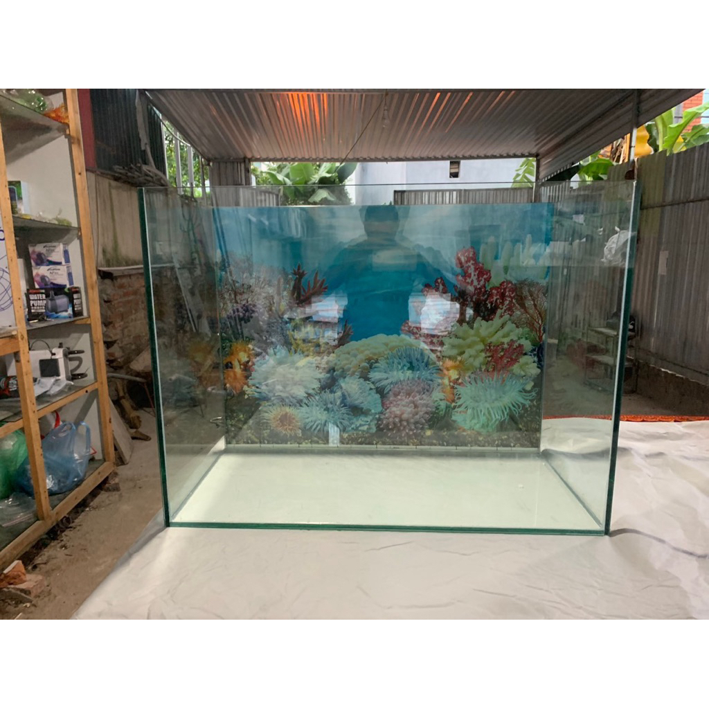 Bể 70x40x40 kính 8ly siêu trong