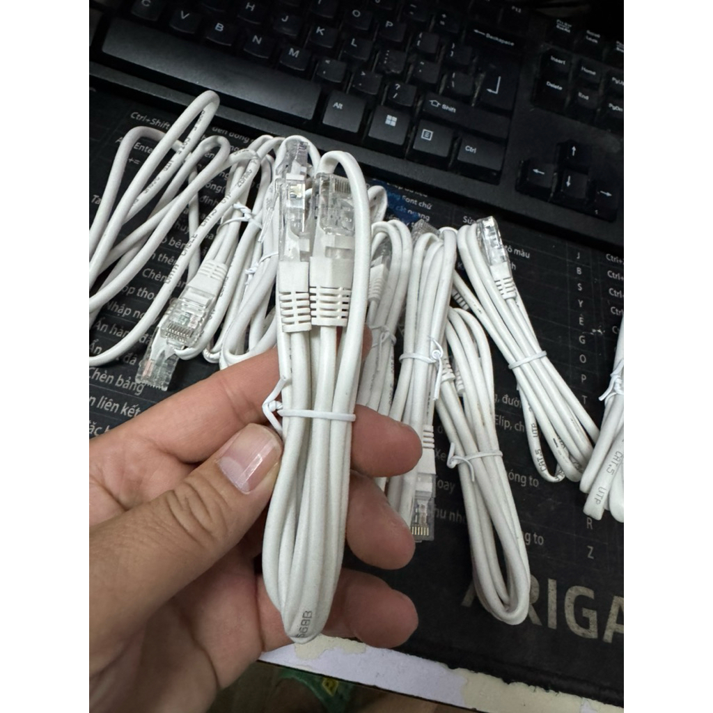 dây mạng Lan bấm sẵn 1m