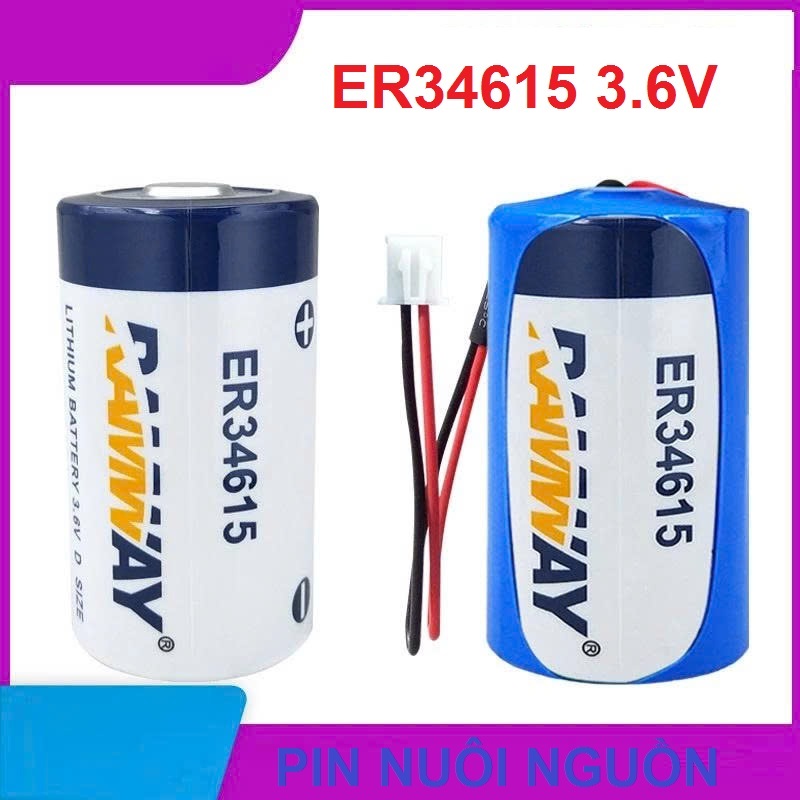 Pin Nuôi nguồn Ramway ER34615 3.6V Size D dung lượng 19000mAh