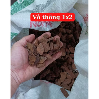 10KG Vỏ Thông Đỏ Mài Cạnh Size 1-2cm Trồng Lan Đủ Kích Cỡ, Giá Thể Trồng Lan