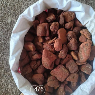 10KG  Vỏ Thông Đỏ Mài Cạnh Size 4-6cm Trồng Lan Đủ Kích Cỡ, Giá Thể Trồng Lan