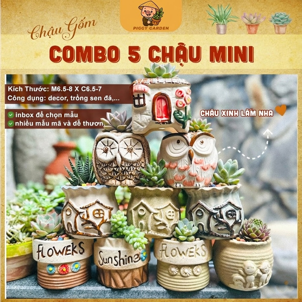  Chậu gốm mini trồng sen đá - xương rồng  combo 5 chậu inbox để được chọn mẫu  