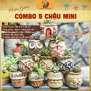  Chậu gốm mini trồng sen đá - xương rồng  combo 5 chậu inbox để được chọn mẫu  