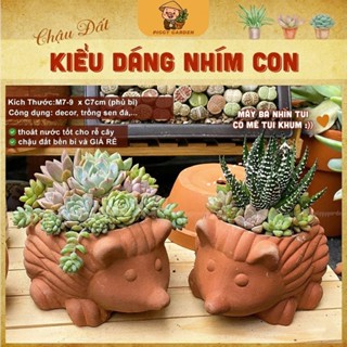  Chậu đất nung - Chậu trồng sen đá xương rồng - Chậu nhím nhỏ miệng 7x9cm cao 7cm 