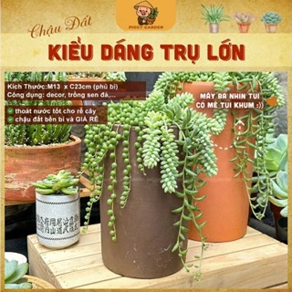  Chậu đất nung - Chậu trồng sen đá xương rồng,trầu bà hoa lan - Chậu trồng cây - Chậu cây - Trụ cao 