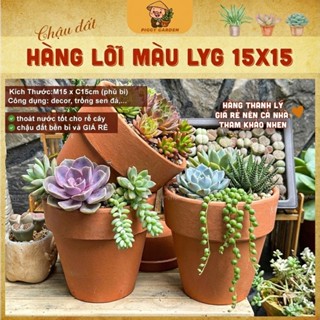   THANH LÝ  HÀNG LỖI MÀU NHẸ Ly G Kích thước 15cm x 15cm -Trồng Cây Sen Đá Xương Rồng 