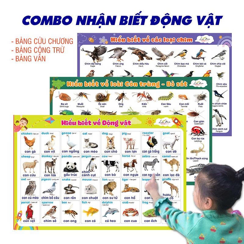 Combo 3 tranh poster nhận biết về các loài động vật côn trùng cho bé mầm non (không có keo dính)