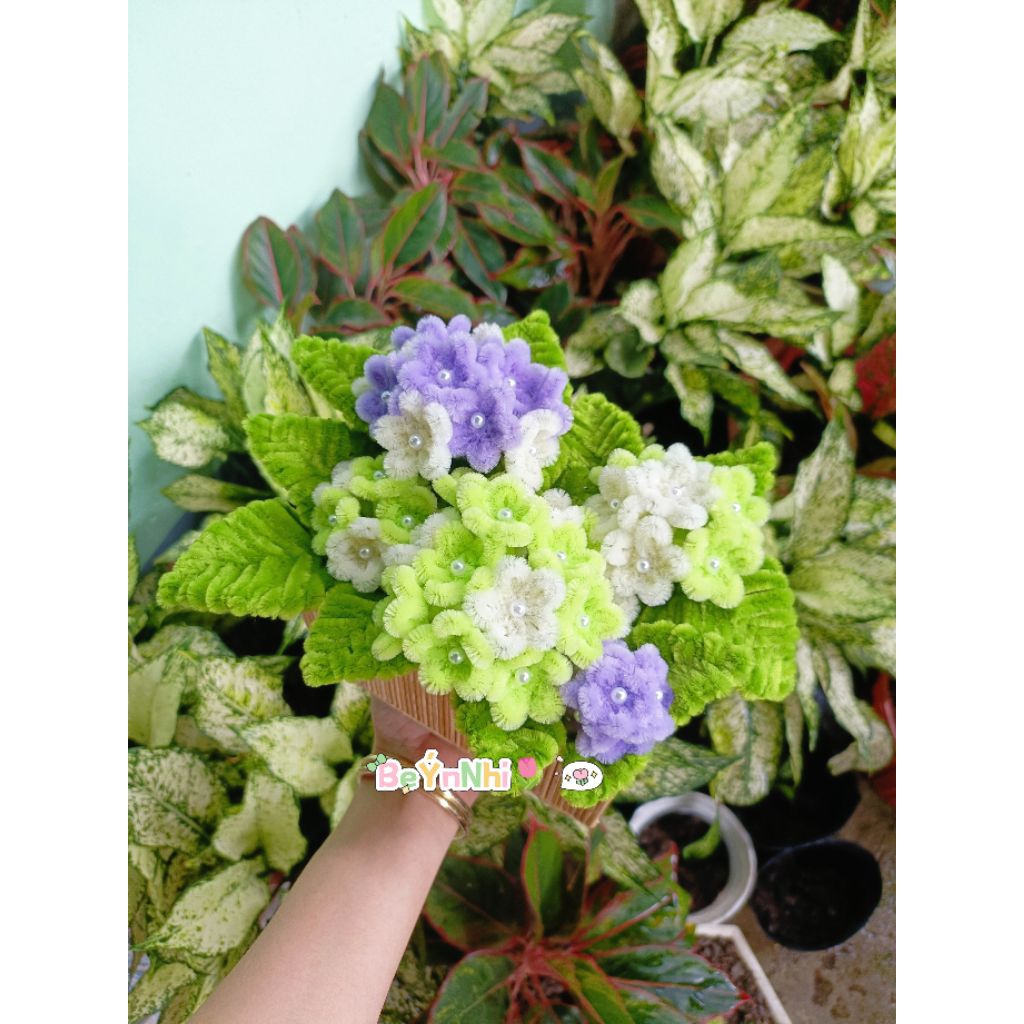 Chậu hoa cẩm tú cầu kẽm nhung