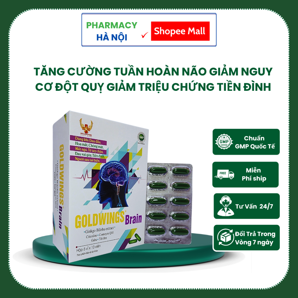 [ CHÍNH HÃNG ] Goldwings Brain – Hỗ Trợ Tuần Hoàn Não Khỏe Mạnh, Phòng Tai Biến, Giảm Nguy Cơ Di Chứ