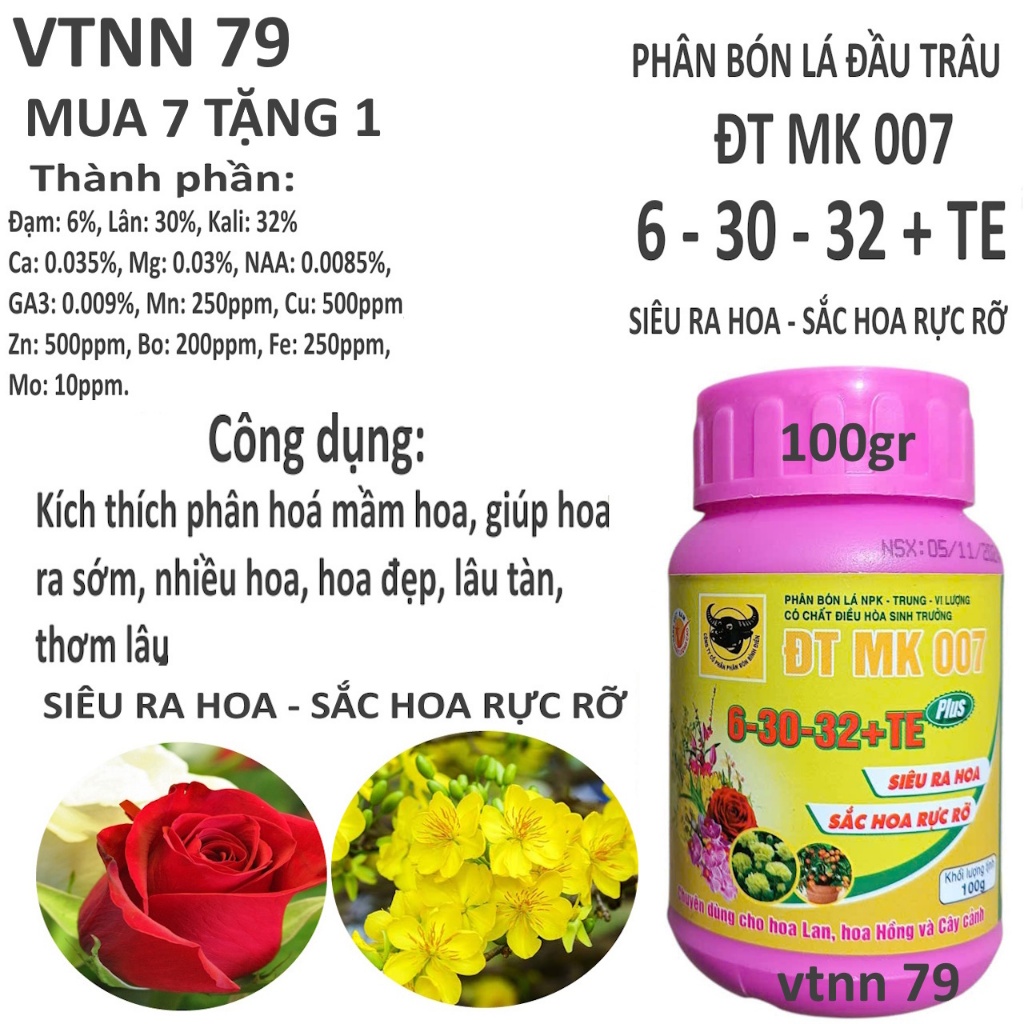 MUA 7 TẶNG 1. ĐẦU TRÂU 6 30 32 + TE HỦ 100G, RA HOA NHIỀU VÀ ĐỒNG LOẠT