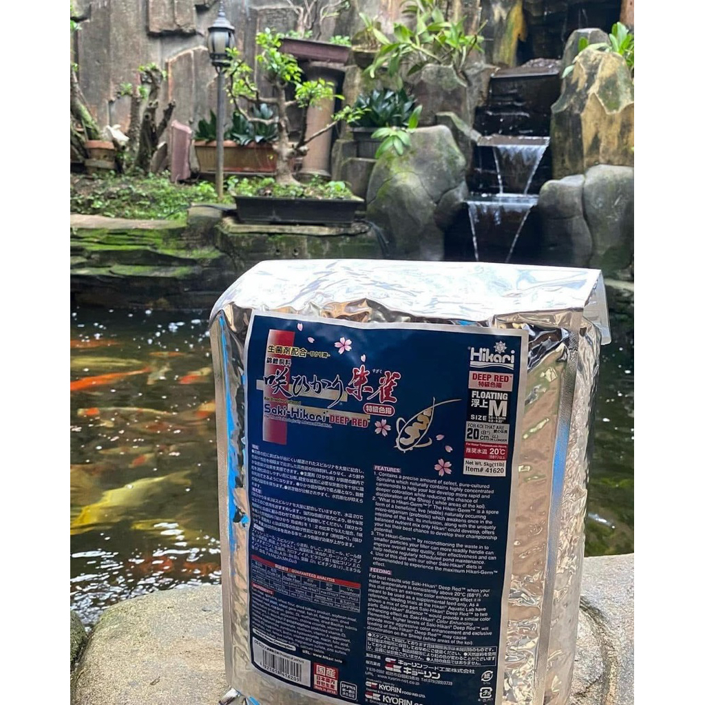 Cám Saki-Hikari Deep Red size M - Thức Ăn Cho Cá Koi , Cá Phi Tần Tăng Màu Siêu Đỏ (Chiết Lẻ Đóng Tú