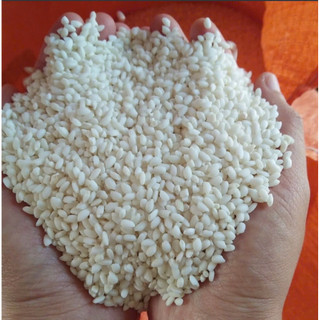 Nếp cái hoa vàng(nếp bắc) túi 5kg