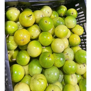 CHANH DÂY VÀNG NGỌT (size 14-18trái/kg)