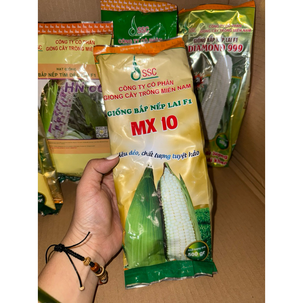 BẮP NẾP LAI F1 MX10 SSC ( gói 500gram)
