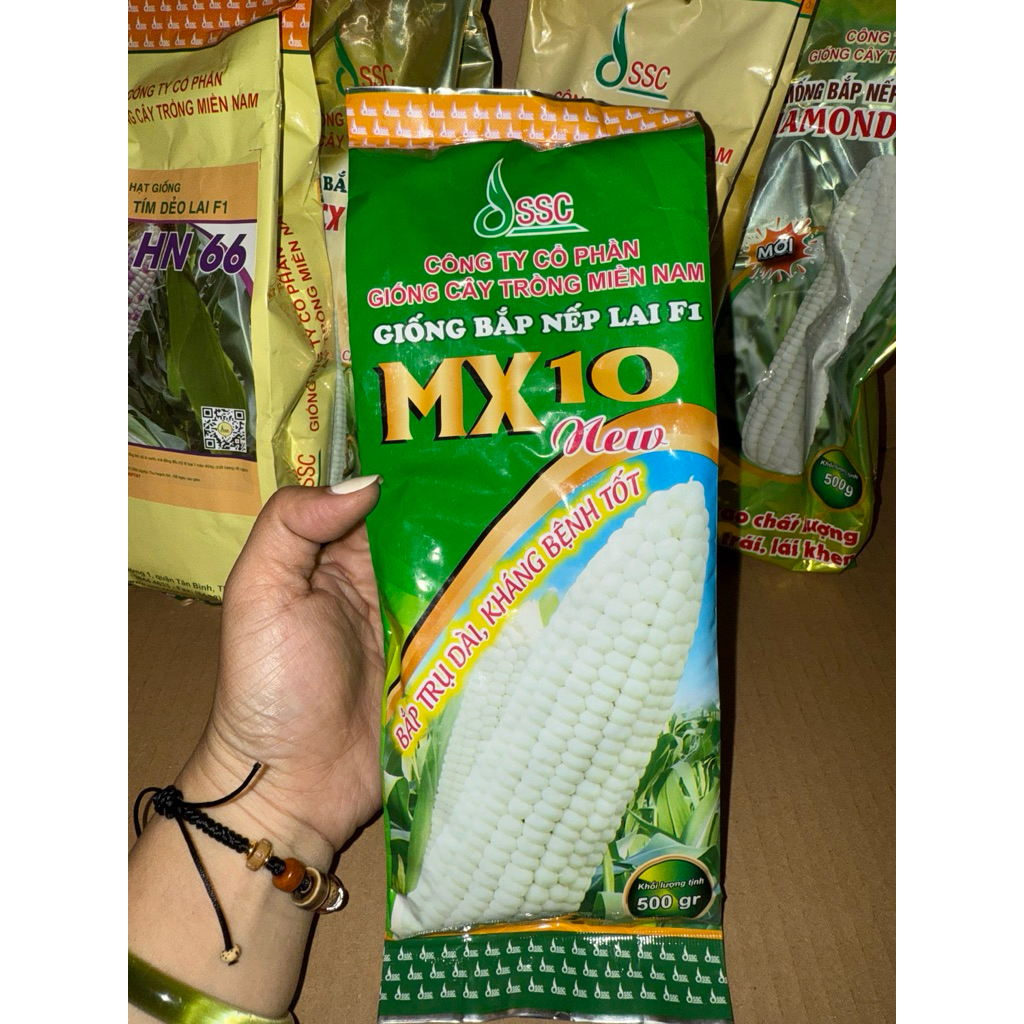 BẮP NẾP LAI F1 MX10 SUPER- gói 500gram