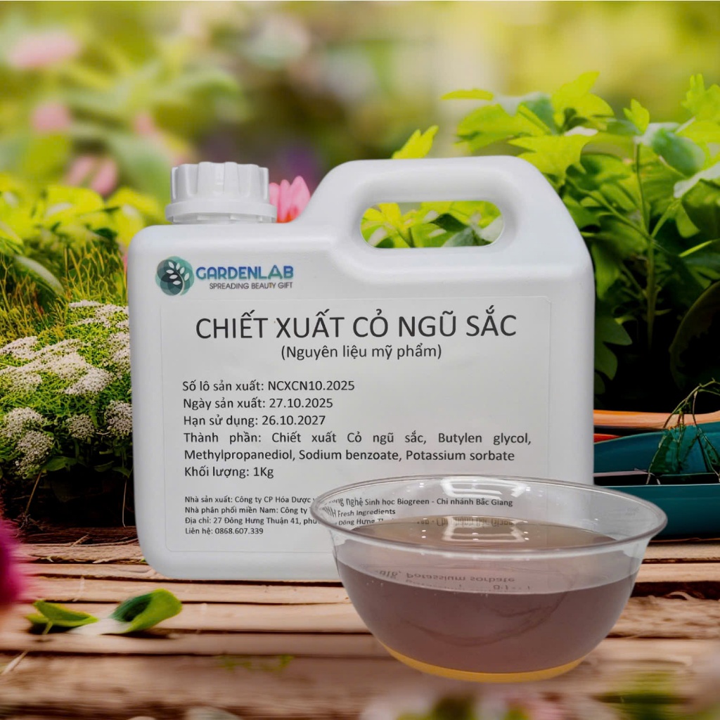Mẫu thử 50gr Chiết xuất CỎ NGŨ SẮC - Nguyên liệu mỹ phẩm - GARDENLAB.VN