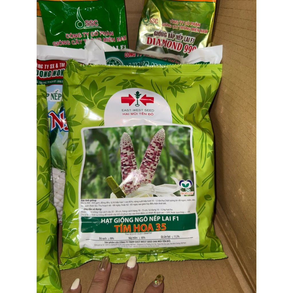 BẮP NẾP LAI F1 TÍM HOA 35-2MT (gói 500gram)