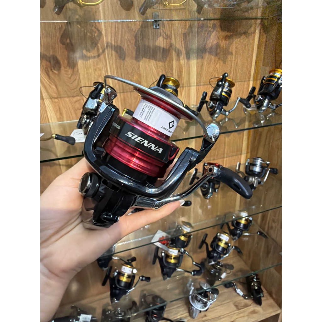 HOT Máy đứng Shimano Sienna