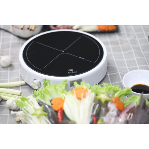 Bếp từ Đơn Fuger FG – 59L