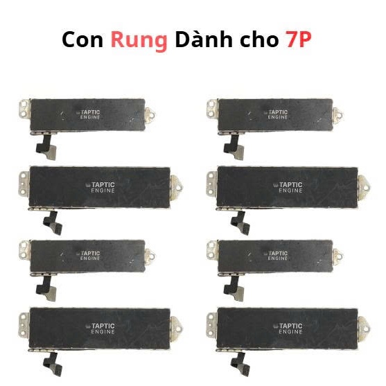 Con rung danh cho 7P, Thay thế