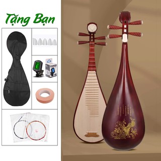Đàn Tỳ Bà VN - Đàn Pipa Trung Quốc Gỗ Hương Chất Lượng {AP Music}
