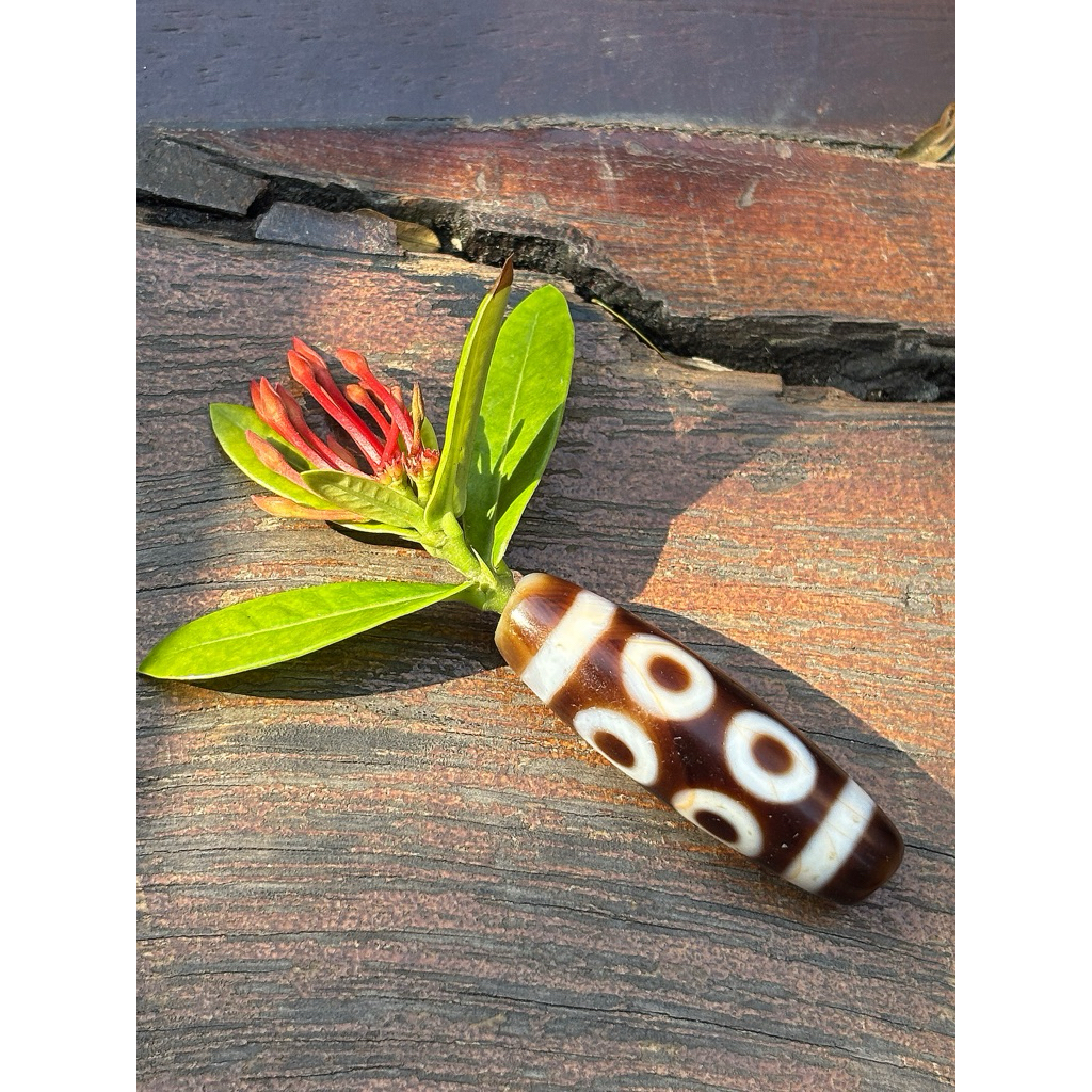 DZI 8 MẮT BÁT CÁT TƯỜNG