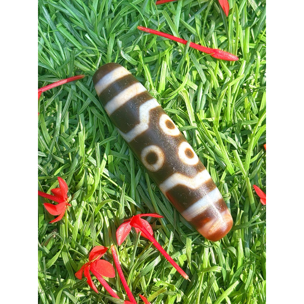 DZI 7 MẮT (chu sa đá già)