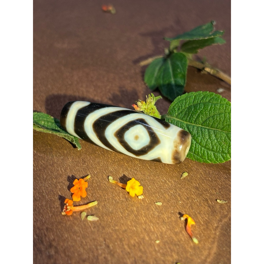 DZI 2 MẮT SONG NGƯ