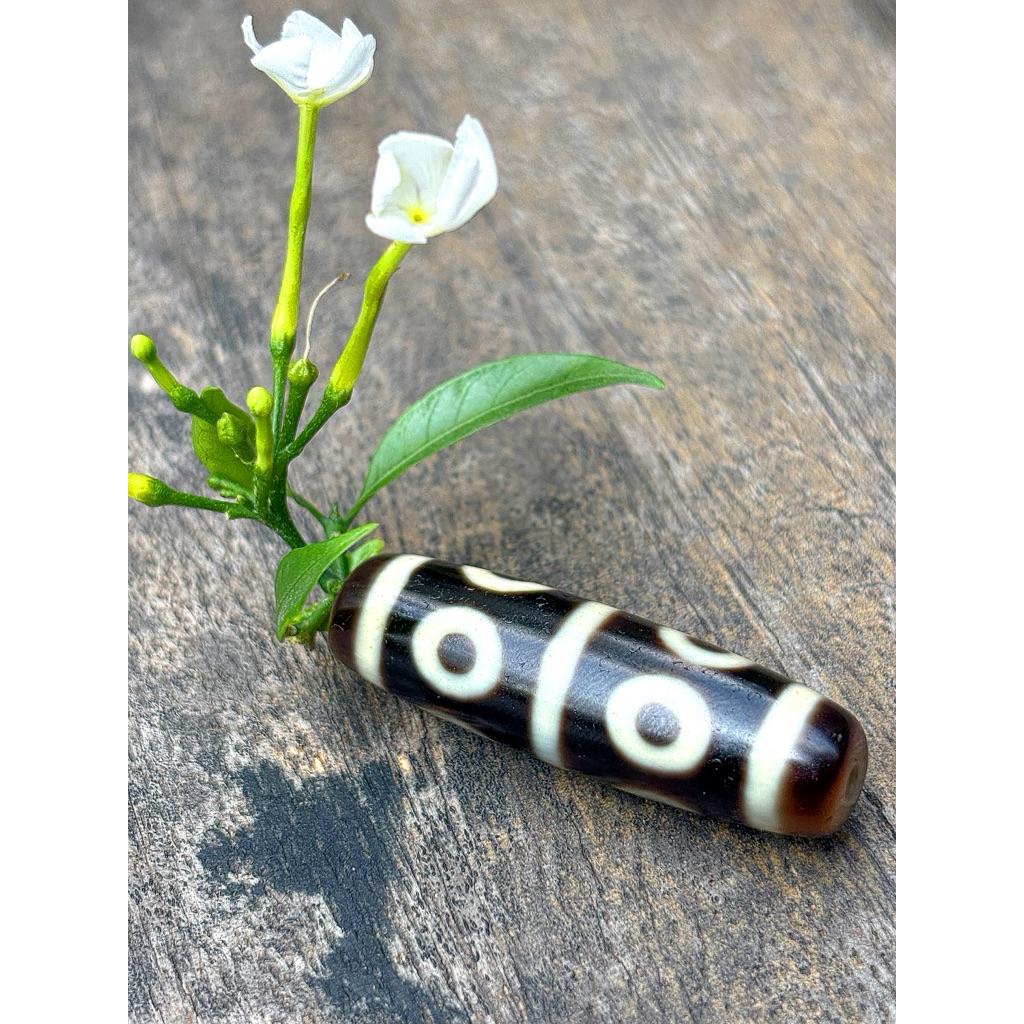 DZI 8 MẮT dòng cao dầu