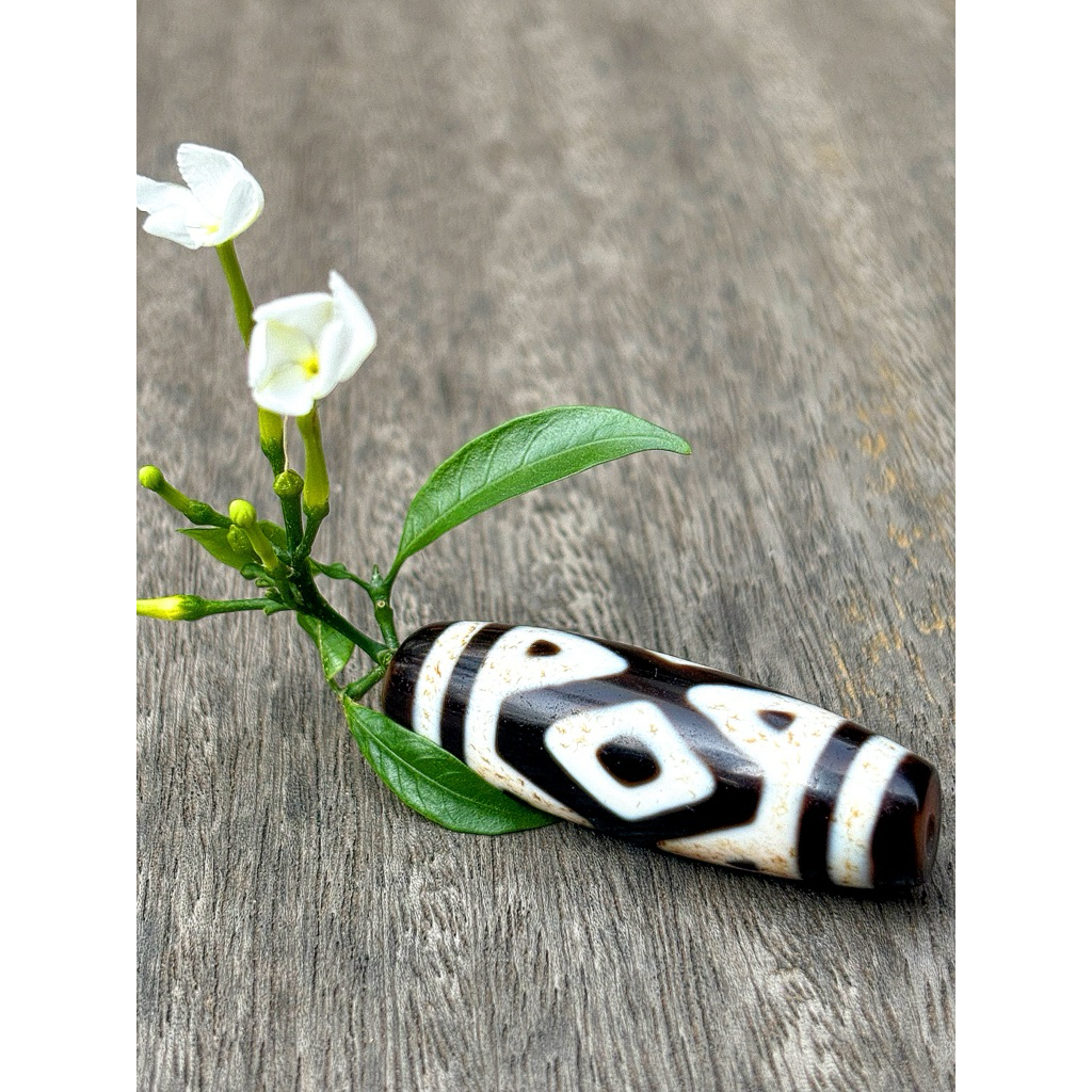 DZI 3 MẮT KIM CANG - to